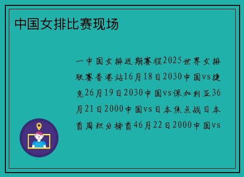 中国女排比赛现场